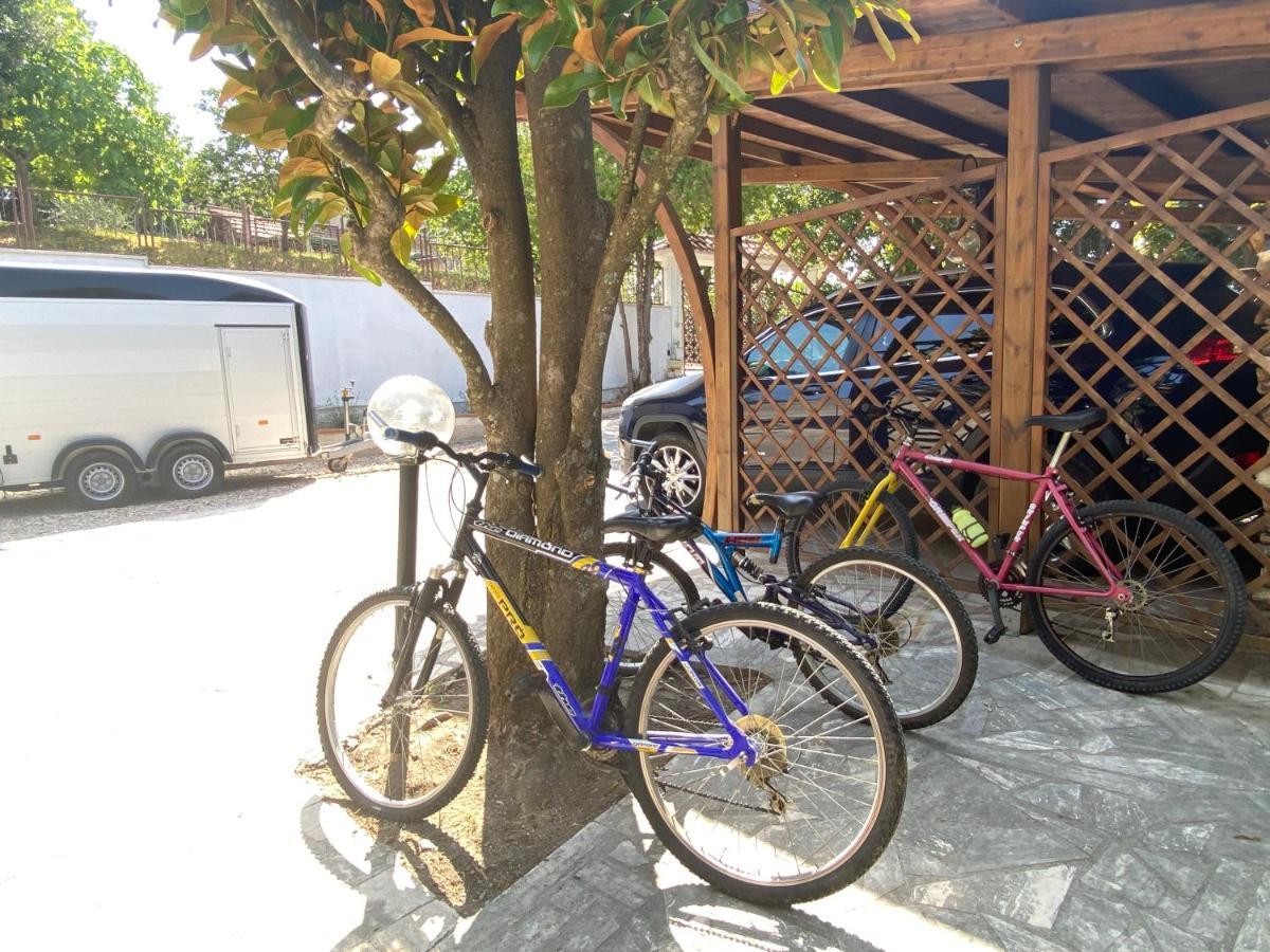 B&B Rox E Claudia Lugnola Ngoại thất bức ảnh